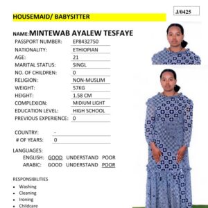 MINTEWAB AYALEW TESFAYE