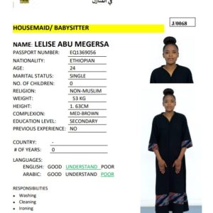 LELISE ABU MEGERSA